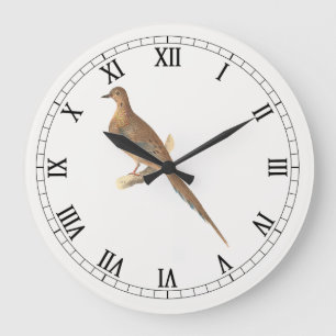 Reloj Redondo Grande La paloma de luto (estufa de tortuga de Carolina) 