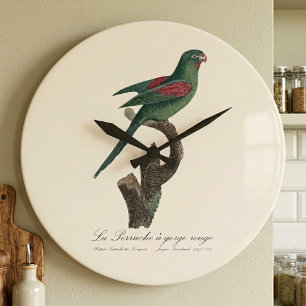 Reloj Redondo Grande La Perrucha de garganta roja