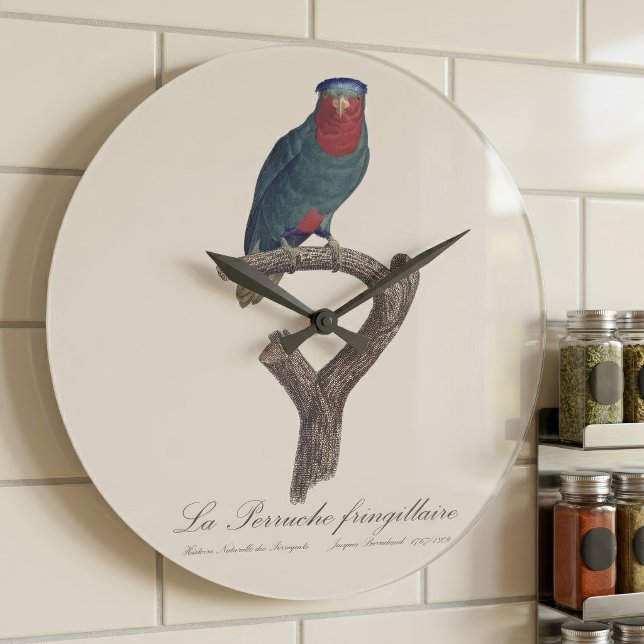 Reloj Redondo Grande La Perruche fringillaire (Blue-Crowned Lorikeet, Vini Australis. Large Clock)