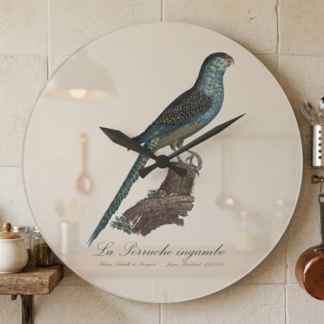Reloj Redondo Grande La Perruche ingambe  (Ground Parrot or Swamp Parrot, Pezoporus Wallicus. Large Clock)