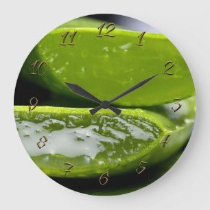 Reloj Redondo Grande La tienda del Herbalist