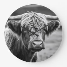 La vaca Highland