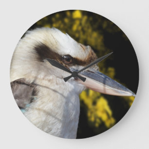 Reloj Redondo Grande Laugh australiano The Kookaburra,