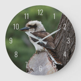 Reloj Redondo Grande Laughing Kookaburra Bird Animal Tree