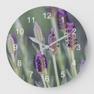 Reloj Redondo Grande Lavanda mexicana