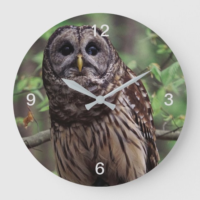 Reloj Redondo Grande Lechuza Barred (Anverso)