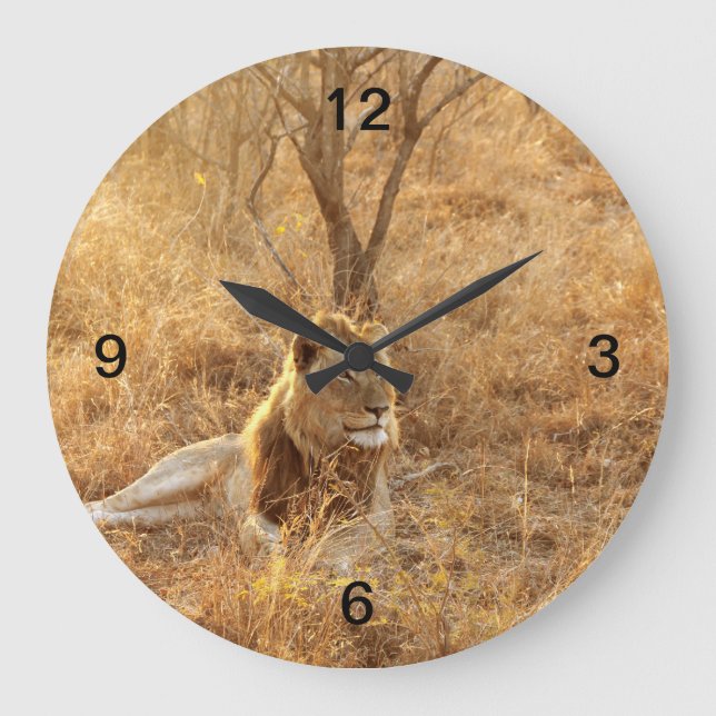 Reloj Redondo Grande León (Anverso)