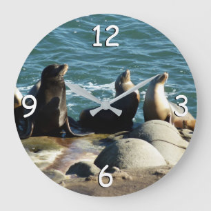 Reloj Redondo Grande Leones marinos de San Diego