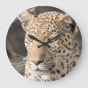 Reloj Redondo Grande Leopard portrait