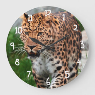 Reloj Redondo Grande Leopardo en el salvaje