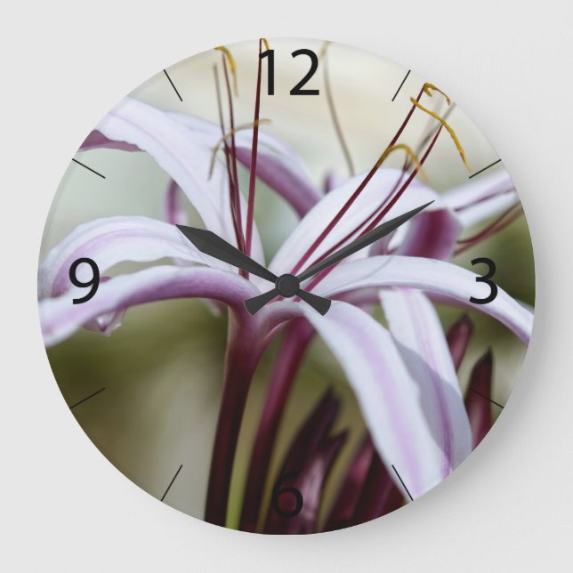 Reloj Redondo Grande Lily (Anverso)
