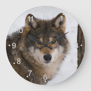 Reloj Redondo Grande Lobo gris europeo