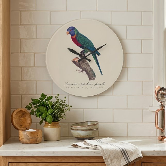 Reloj Redondo Grande Loricito arcoíris hembra, Trichoglossus moluccanus (Perruche a tete bleue, femelle / Rainbow lorikeet, female. Large Clock)