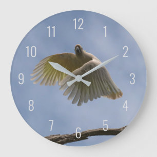 Reloj Redondo Grande Loro de aves Cockatoo volando en el cielo Australi