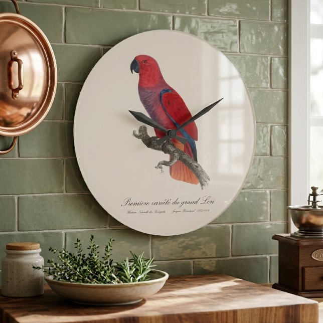 Reloj Redondo Grande Loro Eclecto de Vosmaer, Eclectus Roratus Vosmaeri (Vosmaer Eclectus Parrot, Eclectus Roratus Vosmaeri. Large Clock)