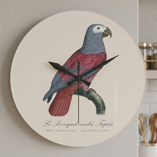 Reloj Redondo Grande Loro Gris Africano Factor Rojo Psittacus Erithacus