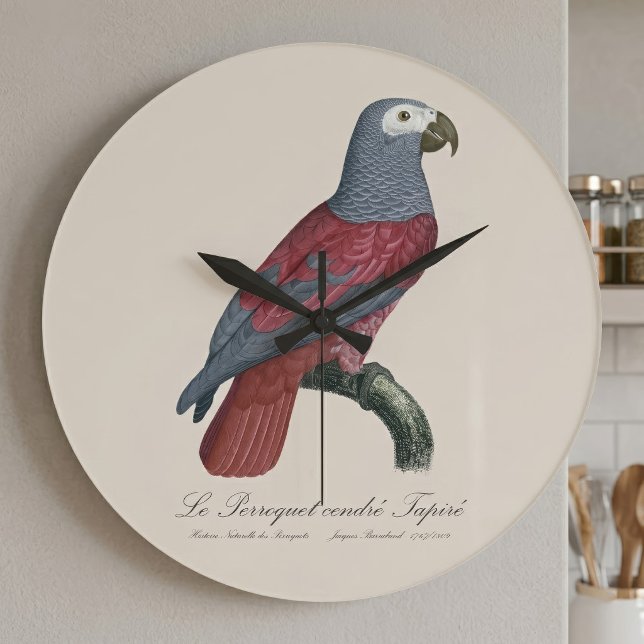 Reloj Redondo Grande Loro Gris Africano Factor Rojo Psittacus Erithacus (African Grey Parrot Red Factor Psittacus Erithacus. Large Clock)