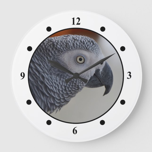 Reloj Redondo Grande Loro majestuoso del gris africano (Anverso)