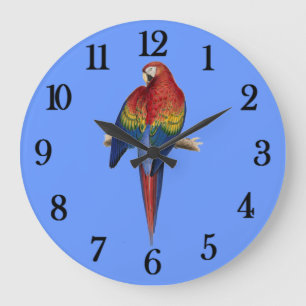 Reloj Redondo Grande Loro Rojo Fondo Azul