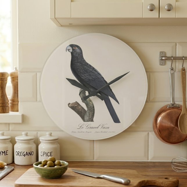 Reloj Redondo Grande Loro Vasa Mayor, Coracopsis Vasa Ilustración (Greater Vasa Parrot, Coracopsis Vasa Illustration. Large Clock)