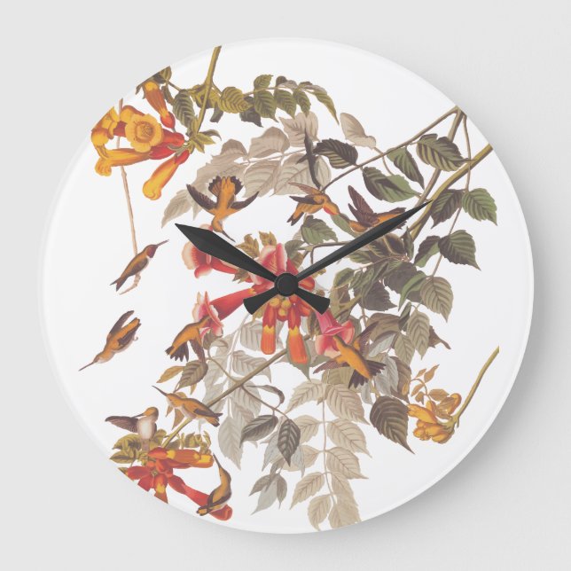 Reloj Redondo Grande Los colibríes Throated de rubíes de Audubon con (Anverso)