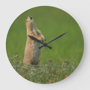 Reloj Redondo Grande Los E.E.U.U., Dakota del Sur, parque de estado de