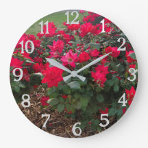 LOS ROSAS SON ROJO