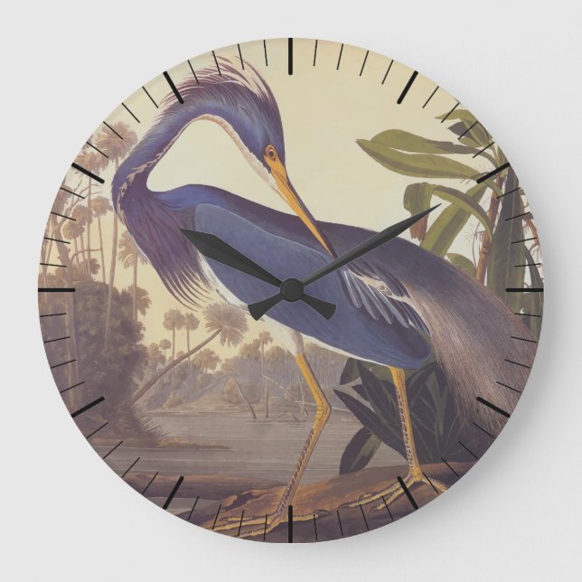 Reloj Redondo Grande Lousiana Heron en gris, verde y azul de Audubon (Anverso)
