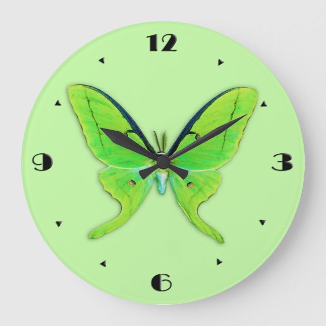 Reloj Redondo Grande Luna polilla sobre un fondo verde pálido (Anverso)