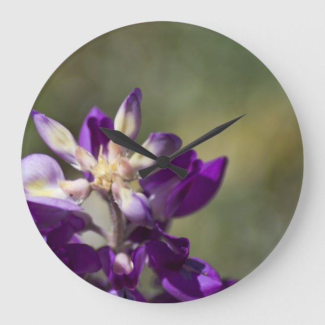Reloj Redondo Grande Lupine (Anverso)