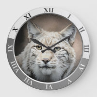 Lynx