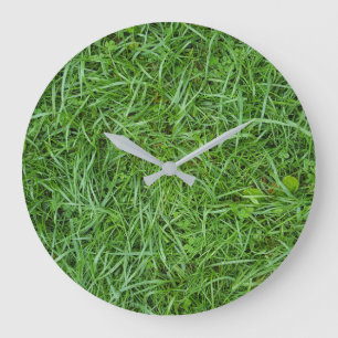 Reloj Redondo Grande macao de hierba verde