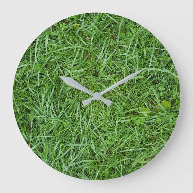 Reloj Redondo Grande macao de hierba verde (Anverso)