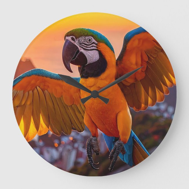 Reloj Redondo Grande Macaw (Anverso)