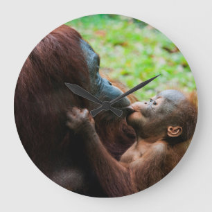 Reloj Redondo Grande Madre y bebé del orangután