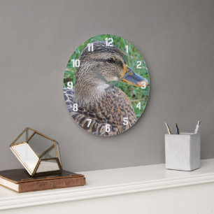 Reloj Redondo Grande Mallard Duck Hen Photo