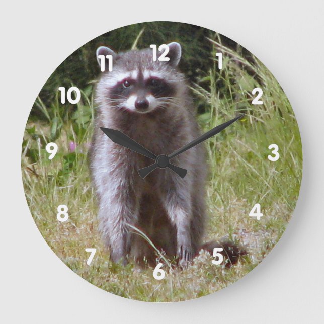 Reloj Redondo Grande Mama Raccoon (Anverso)