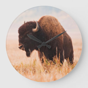 Reloj Redondo Grande Manada de Bisontes Americanos (Bison Bison) en Tet