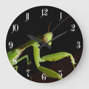 Reloj Redondo Grande Mantid de rogación