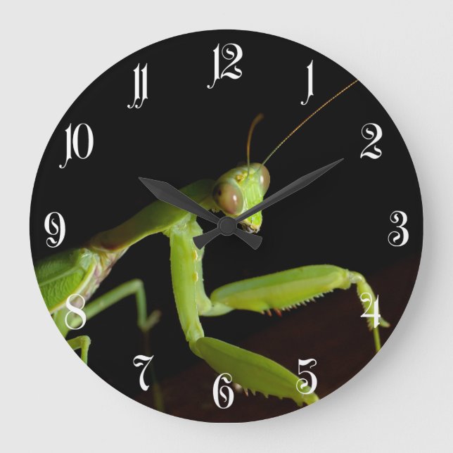 Reloj Redondo Grande Mantid de rogación (Anverso)
