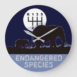 Reloj Redondo Grande MANUAL - Endangered