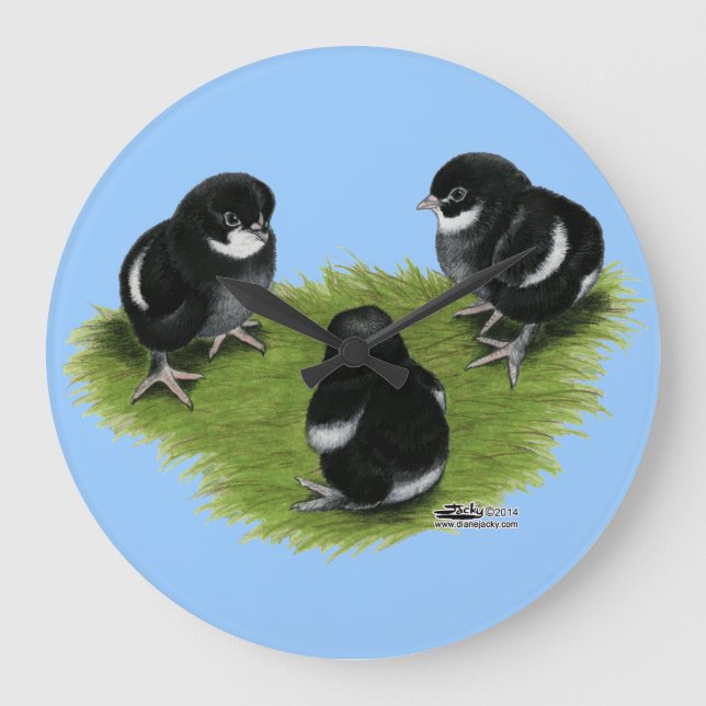 Reloj Redondo Grande Marans Black Copper Chicks (Anverso)