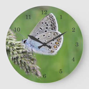 Reloj Redondo Grande Mariposa Azul Común en Hierba