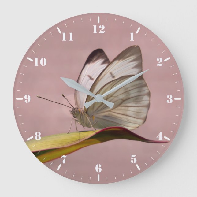Reloj Redondo Grande Mariposa blanca del jardín de Pieris (Anverso)