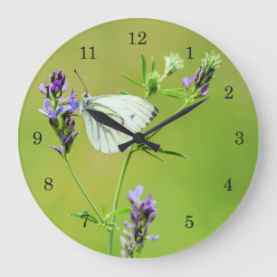 Reloj Redondo Grande Mariposa blanca veteada verde