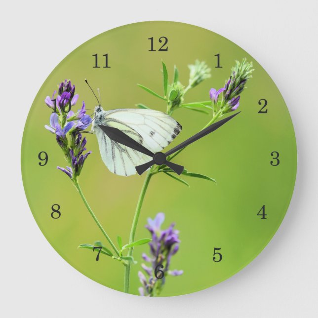 Reloj Redondo Grande Mariposa blanca veteada verde (Anverso)
