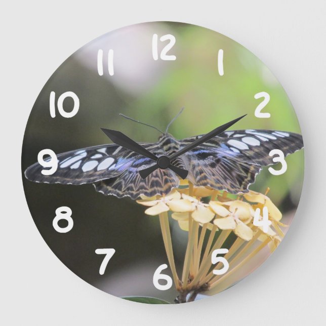 Reloj Redondo Grande Mariposa de Blue Clipper (Anverso)