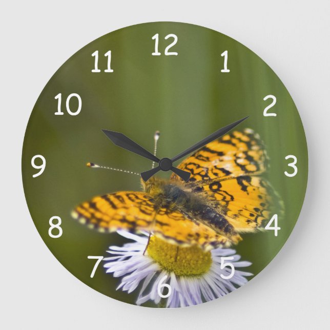 Reloj Redondo Grande Mariposa en Wildflower (Anverso)