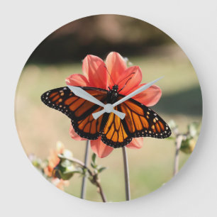 Reloj Redondo Grande Mariposa monarca en Dahlia
