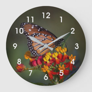 Reloj Redondo Grande Mariposa reina en algas tropicales